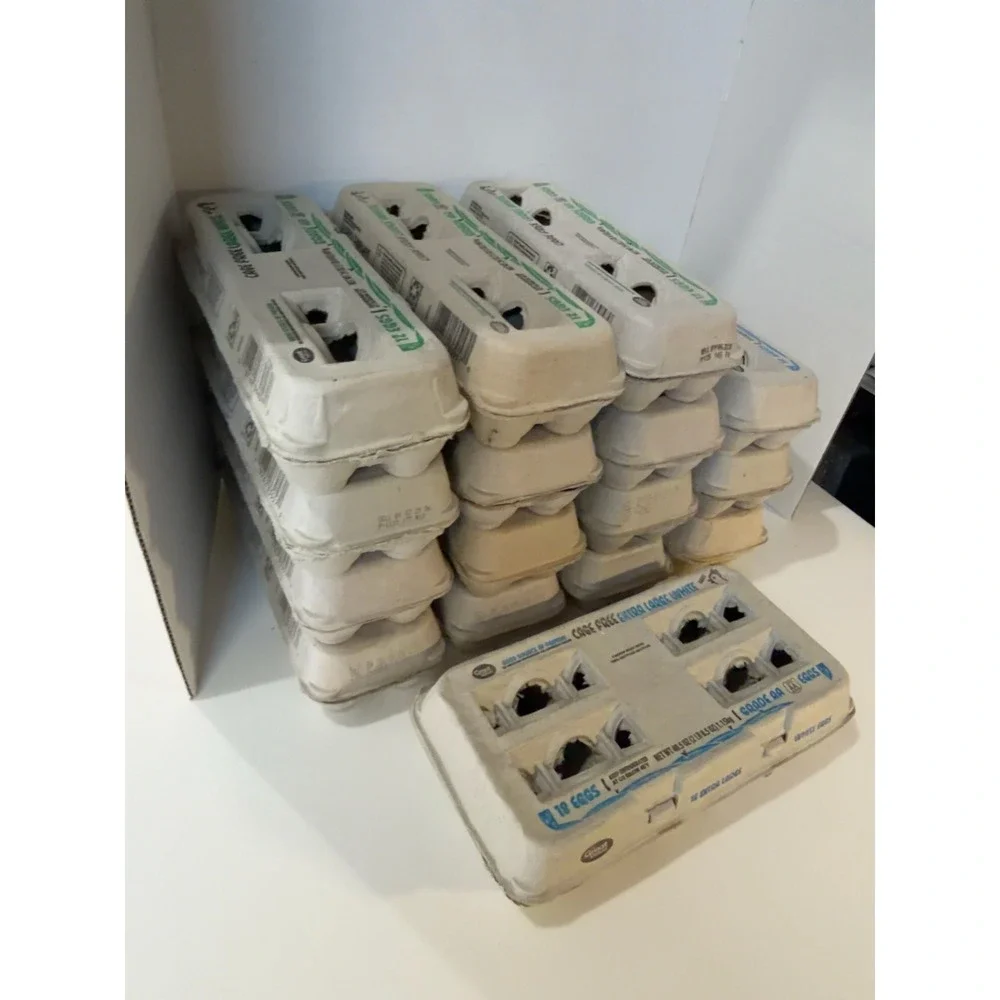 16 Empty Pulp Egg Cartons 15 12-Count 1 18-Count Chicken Farm Fresh Eggs